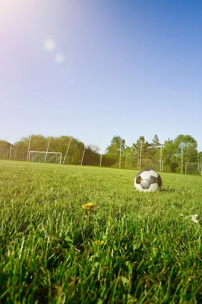 星空体育中心品牌形象